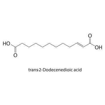 trans-2-Dodecenedioic acid skeletal structure. dicarboxylic acid compound schematic illustration. Simple diagram, chemical formula.