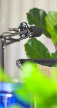 Vertical video: Mic on boom arm is shifting inward as camera is focusing to center mic amid plants