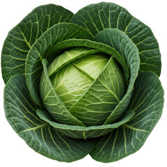 Fototapeta premium Fresh green cabbage with vibrant, tightly packed leaves