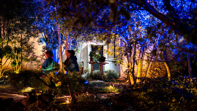 View of people walking through the illuminated Lan Su Chinese Garden at night with vibrant blue and yellow lights on trees and foliage in Portland, Oregon, United States.