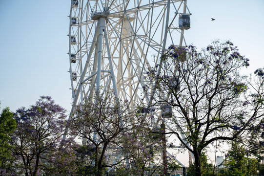 view of aztlan in chapultepec mexico city