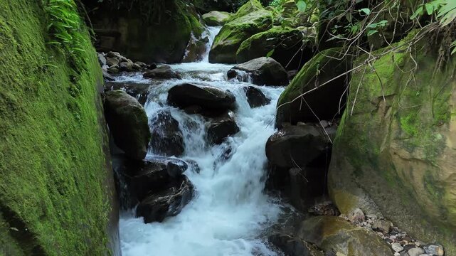 A stream of crystal-clear freshwater cascades over moss-covered rocks in a lush green forest.
