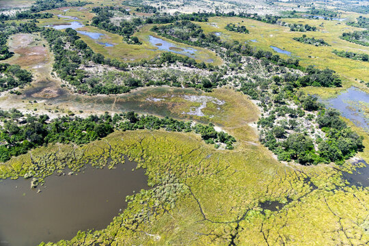 aerial of Okavango Delta, Botswana, Africa