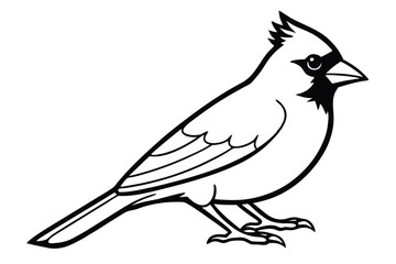 Obraz premium cardinal silhouette line art vector illustration with a white background