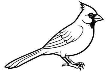 Obraz premium cardinal silhouette line art vector illustration with a white background