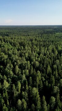 Aerial Drone View of Kaukaj&auml;rvi in Kangasala forest on a Sunny Summer Day