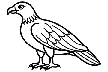 Fototapeta premium buzzard bird silhouette line art vector illustration with a white background