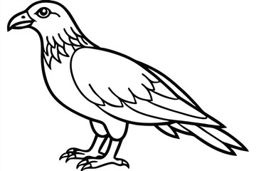 Fototapeta premium buzzard bird silhouette line art vector illustration with a white background