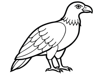 Fototapeta premium buzzard bird silhouette line art vector illustration with a white background