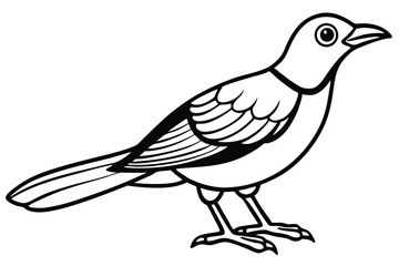 Obraz premium bowerbird silhouette line art vector illustration with a white background