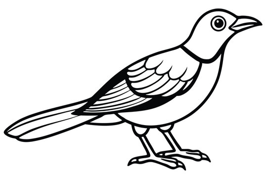 bowerbird silhouette line art vector illustration with a white background