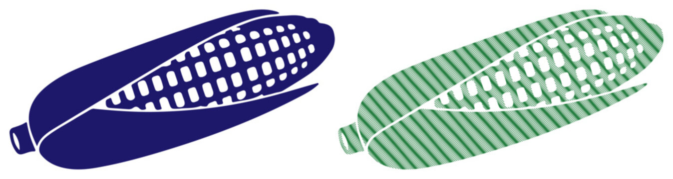 Stylized corn illustration in contrasting colors, representing agriculture and harvest