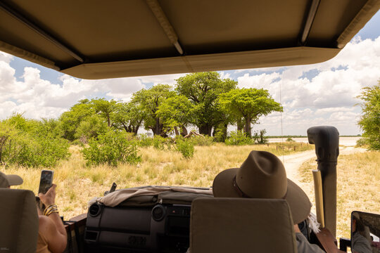 road to Iconic Baines Baobab trees, Makgadikgadi National Park, Botswana, Africa