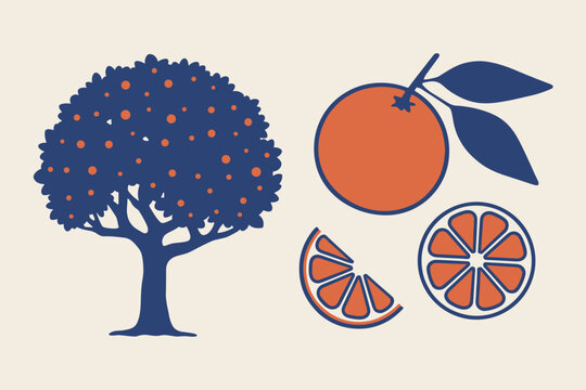Blue orange tree with fruit and orange slices on cream background fruit tree citrus