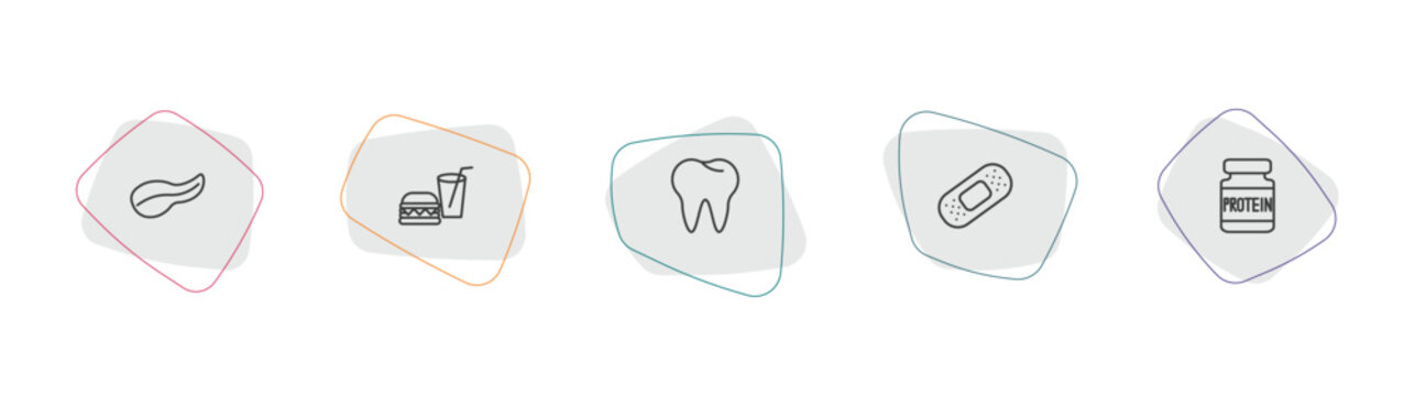 health and medical outline icon set. linear vector for ui, web and mobile. thin line pancreas, fast food, teeth icons.