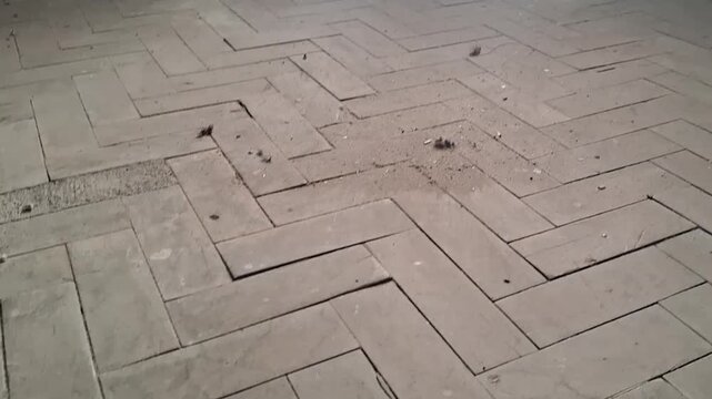 Old dusty wooden herringbone floor with debris in an abandoned room panning upwards video footage.