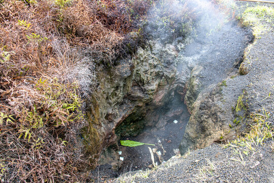 Steaming volcanic fumarole surrounded by dry ferns and grass at Hawaii Volcanoes National Park Big Island