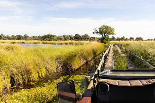 Wooden bridge, Okavango Delta, Botswana, Africa