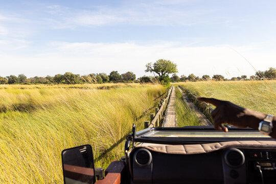 Wooden bridge, Okavango Delta, Botswana, Africa