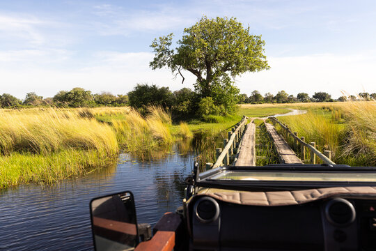 Wooden bridge, Okavango Delta, Botswana, Africa