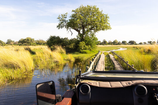 Wooden bridge, Okavango Delta, Botswana, Africa