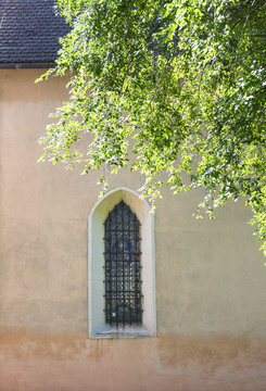 View of a historic arched window with a metal grate and stained glass on a textured beige wall framed by green tree branches in Italy.