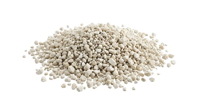 Medical Bone Graft Granules for Dental and Orthopedic Surgery Isolated on White