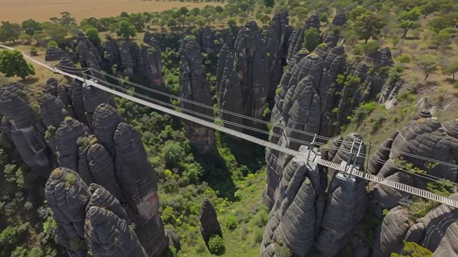 suspension bridge in Tsingy de Bemaraha National Park in Madagascar