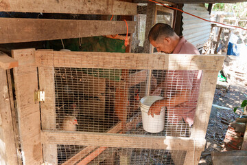 Latin american farmer feeding chickens in coop © Jordan