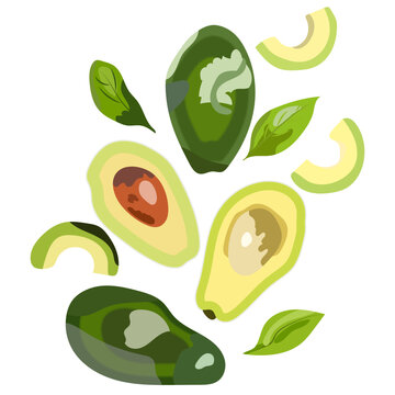 Fresh flying avocado set with slices and leaves, vector illustration
