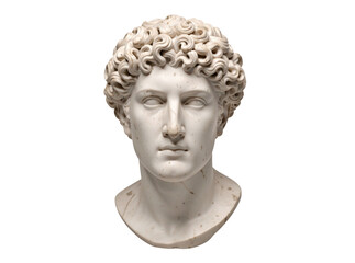 Obraz premium A sculpture of a person with wavy locks
