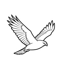 Obraz premium Soaring hawk in flight, a majestic bird of prey, detailed illustration.