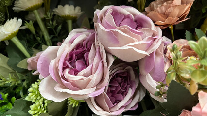 Elegant Dusty Purple Roses in Close-up © fuad chasan