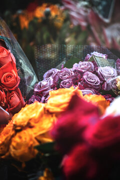 View of vibrant bouquets of red, orange, and purple roses wrapped in plastic at a florist shop.