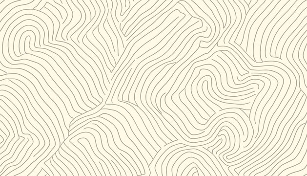 seamless pattern with zebra