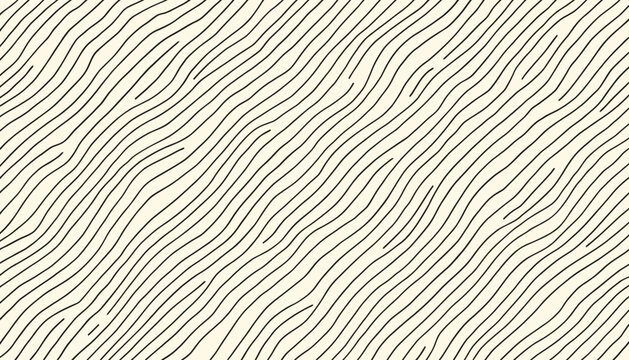 seamless pattern with zebra