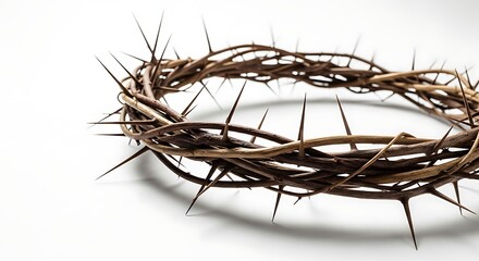 Fototapeta premium Thorn wreath symbolic religious concept