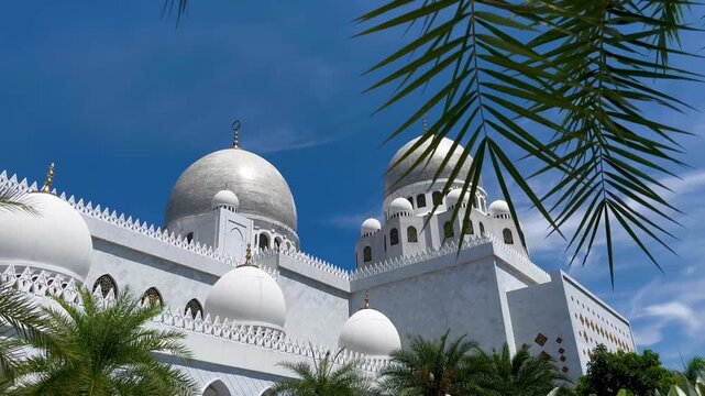 Low angle view of majestic white marble mosque domes framed by green palm leaves against a vibrant blue sky