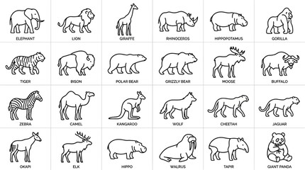 Collection of various animal line drawings. © nurfa