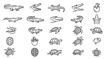 Turtles and tortoises line icons. © nurfa