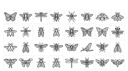 Insects Butterflies Bees Dragonflies Moths. © nurfa