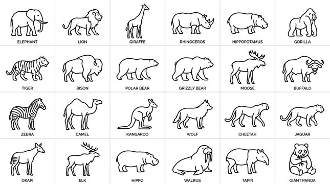 Collection of various animal line drawings.