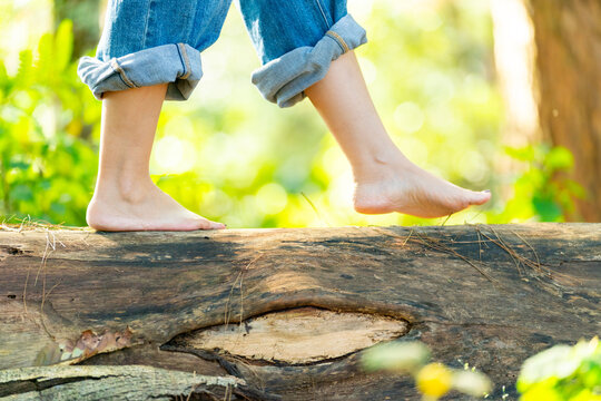 Barefoot woman walking on tree trunk in forest, close up feet balancing on natural wood surface, Nature Therapy mindful grounding practice, outdoor meditation wellness, relaxation in peaceful woodland