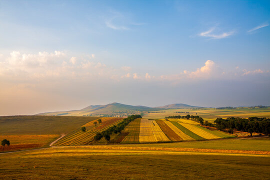 Autumn colorful farmland scenery on Bashang Grassland, Hebei, China
