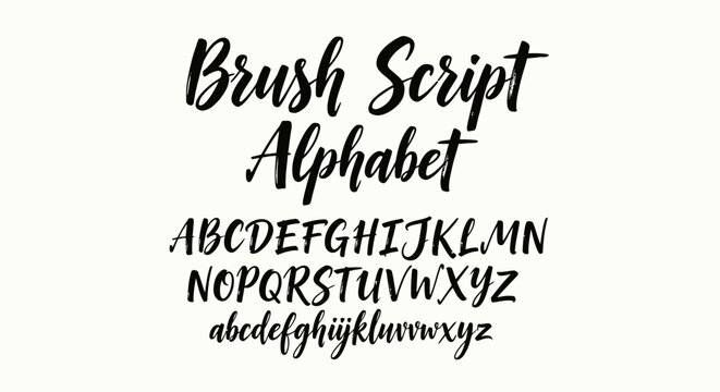 Brush Script Alphabet Letters Typography.