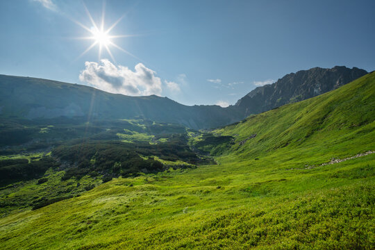 View of the lush green valley of Bystre pleso in the Low Tatras National Park under a bright sun and clear blue sky Liptovsky Mikulas, Zilinsky kraj, Slovakia.
