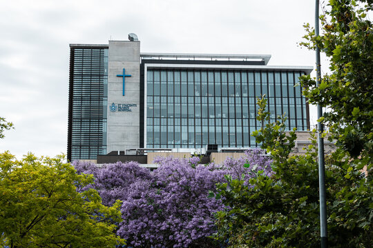 View of St Vincent&rsquo;s Hospital in Sydney, Australia, during the 2025 jacaranda season as the facility implements new home-based healthcare and virtual clinical service models. November 2025