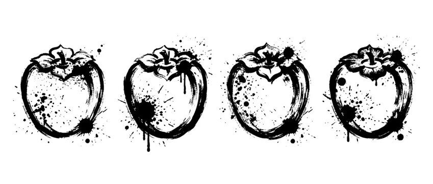 persimmon , Grunge brush distressed paint splatter vector set 