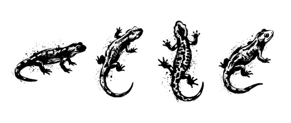 Fototapeta premium salamander , Grunge brush distressed paint splatter vector set 