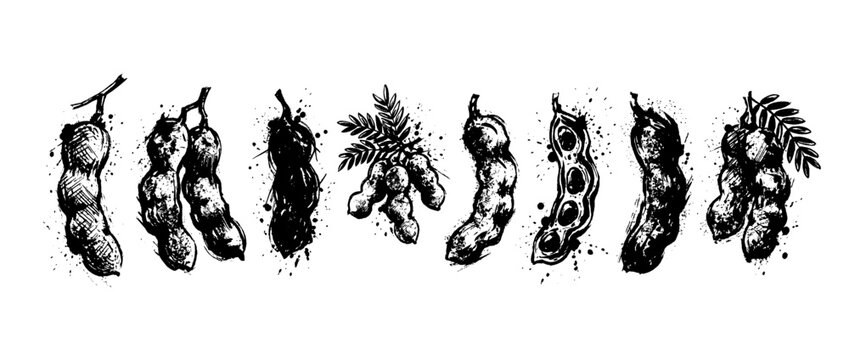 tamarind , Grunge brush distressed paint splatter vector set 